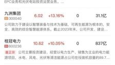 创业板指半日跌4.71%，算力硬件权重股集体重挫，电力股逆势走强