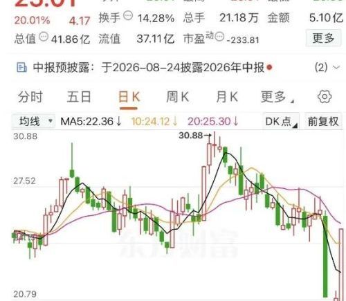 20%涨停，北京传出利好，算力租赁全线爆发