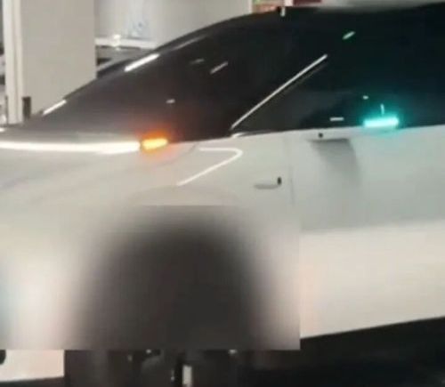 理想汽车智驾在地下车库自动泊车变成“蛄蛹者” 客服：或受环境影响 可联系售后处理