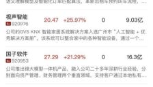 创业板指半日涨超5%，全市场超4500股飘红，AI应用端全线爆发 